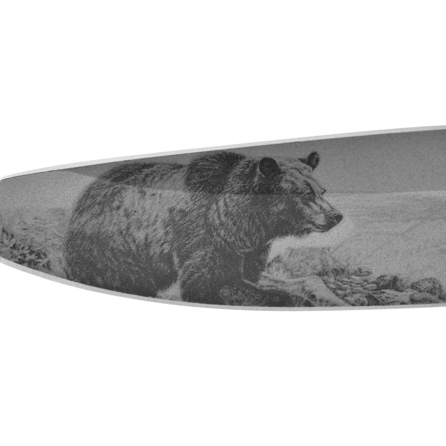 Navaja Con Mango madera Hoja Lisa Diseño De Oso Acero inoxidable