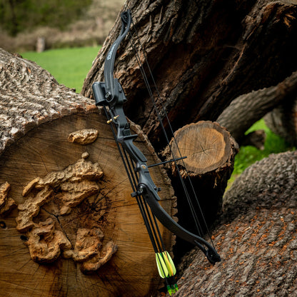 Arco  CenterPoint® Elkhorn™ Crosman